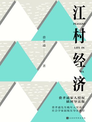 cover image of 江村经济